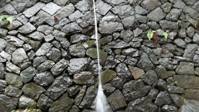 20190607_164317.jpg