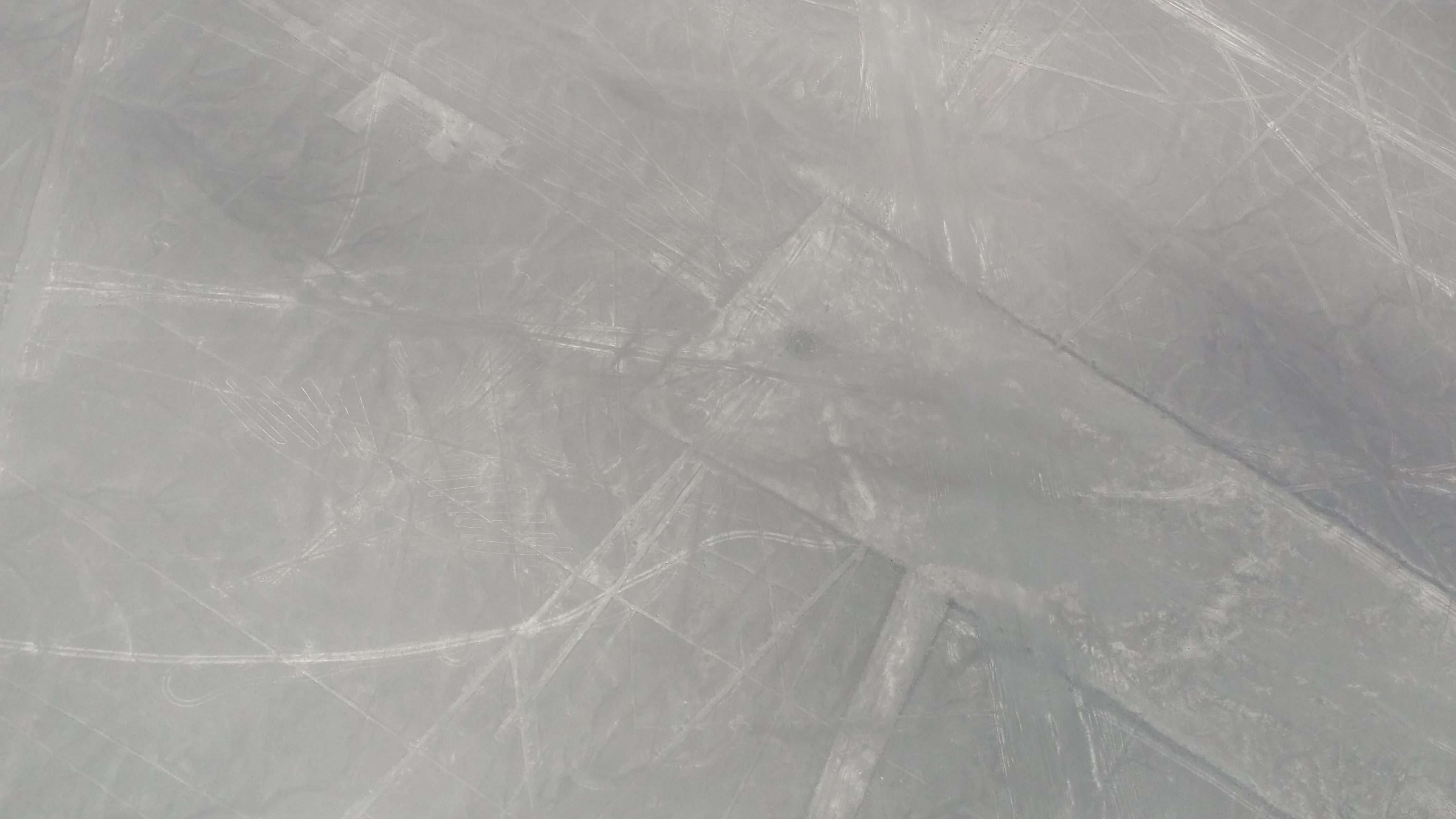 나스카 라인(Nasca Lines) (13).jpg